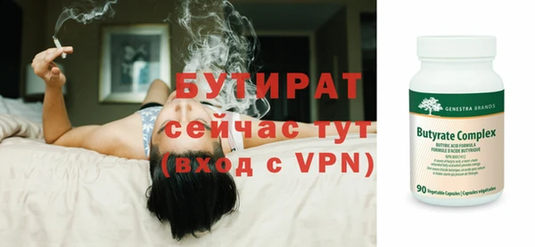 индика Ельня