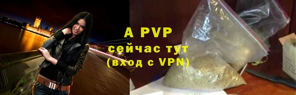 спиды Новый Уренгой