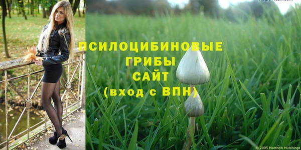 спиды Долгопрудный
