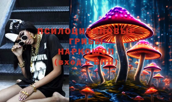 твердый Зеленокумск